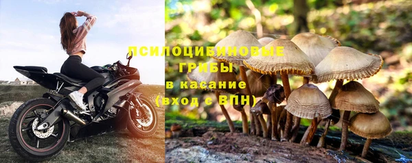 Альфа ПВП Белокуриха