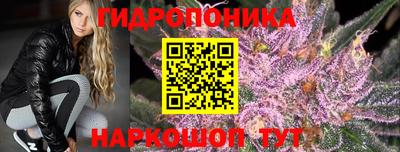 гашик Заводоуковск