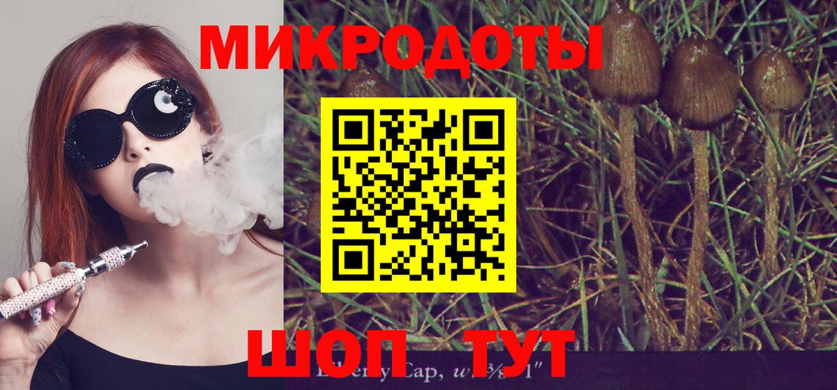 Псилоцибиновые грибы ЛСД  закладки  Буйнакск  Вход с VPN  Галлюциногенные грибы Magic Shrooms 